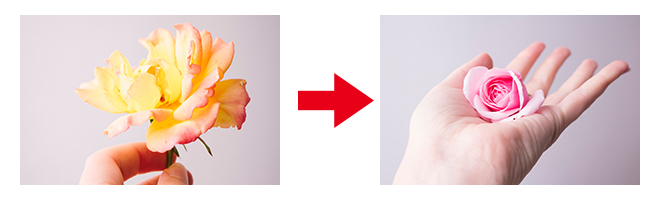 ホームページ画像の修正